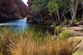 Larapinta_20080606_308 copy